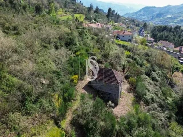Porto Baião 103540550