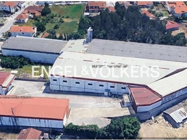 Porto de Mós Porto de Mós LS99288438