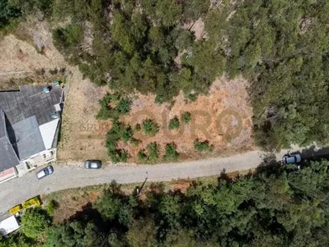 Porto Gondomar 103540953
