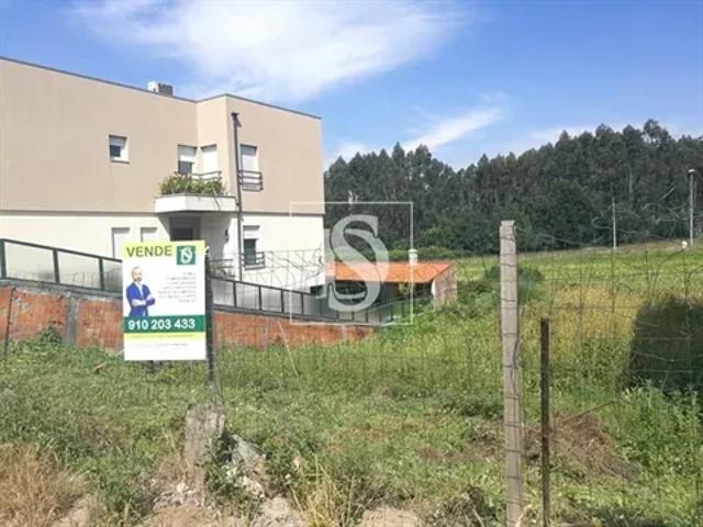 Porto Maia 103556779