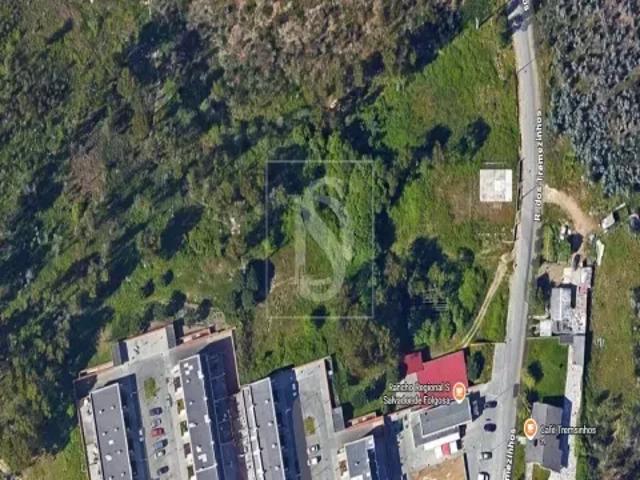 Porto Maia 103533575