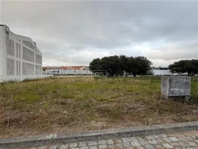 Porto Maia 104145530