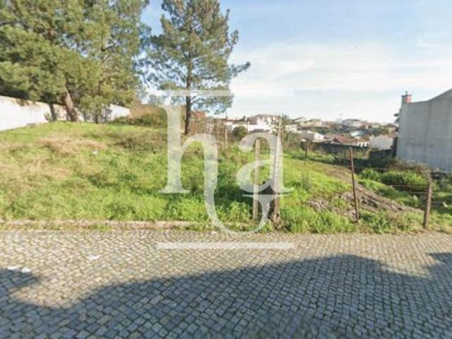 Porto Maia 4425 LS100046711