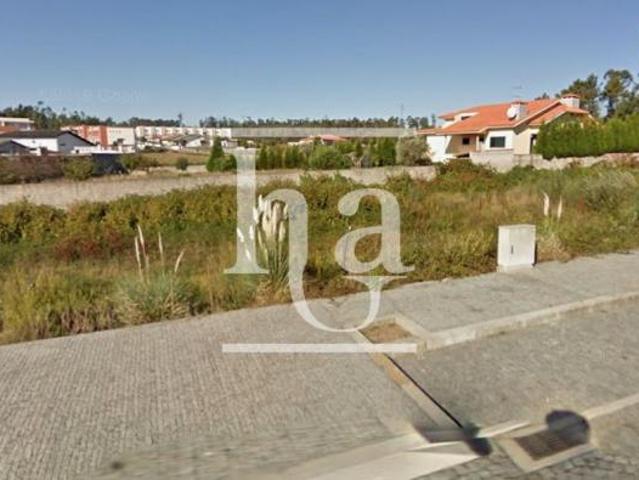Porto Maia 4475 LS100046709