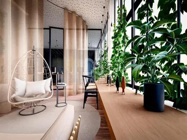 Porto Marco de Canaveses 103429490