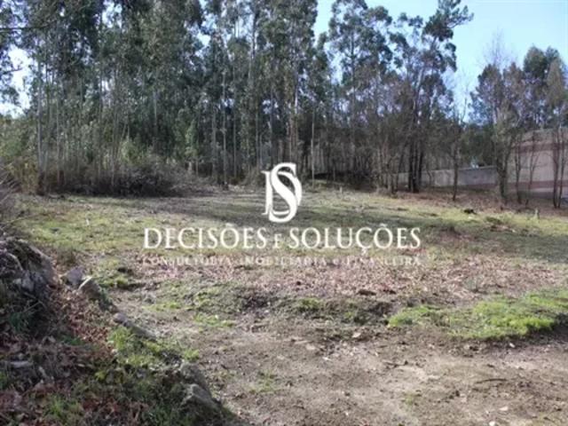 Porto Paços de Ferreira 103558927