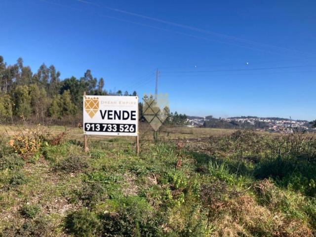Porto Paredes 4580 98786579