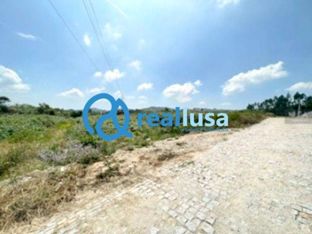 Porto Paredes 4580 LS101762992