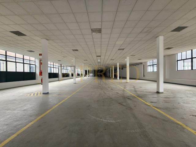Porto Porto 87130768