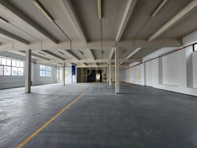 Porto Porto 87130771