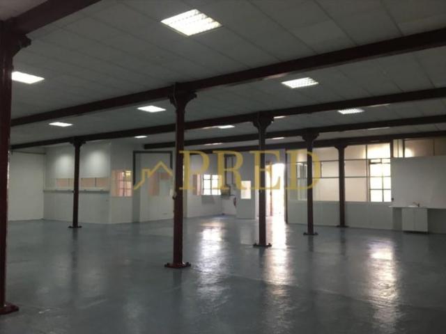 Porto Porto 95263766