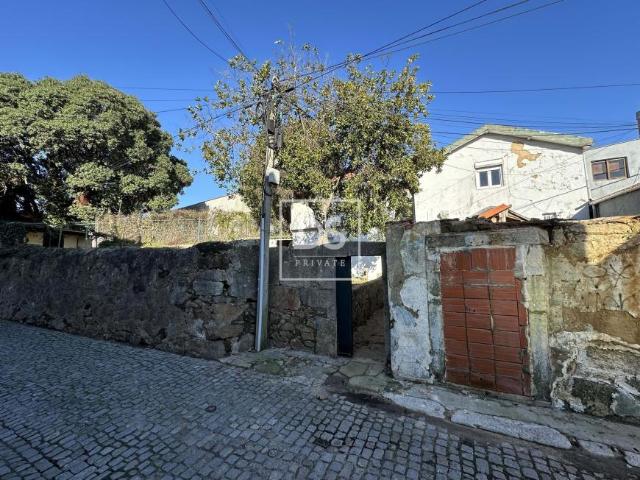 Porto Porto 100681476