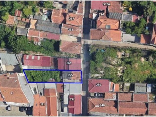Porto Porto 100126301