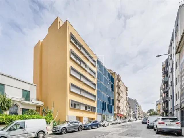 Porto Porto 103504822