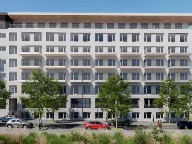 Porto Porto 103844763