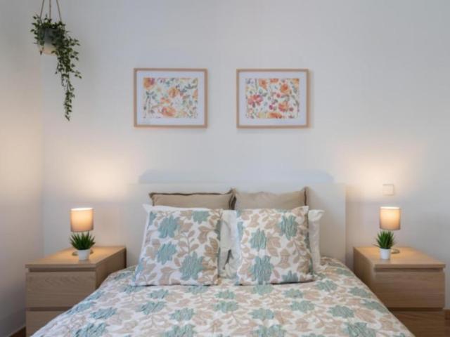 Porto Porto 104971254