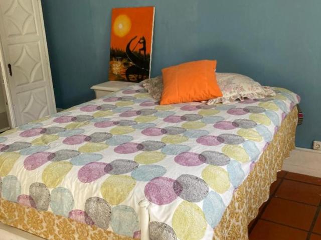 Porto Porto 104971290