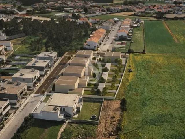 Porto Póvoa de Varzim 103524965