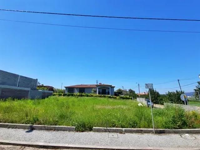 Porto Póvoa de Varzim 103540512