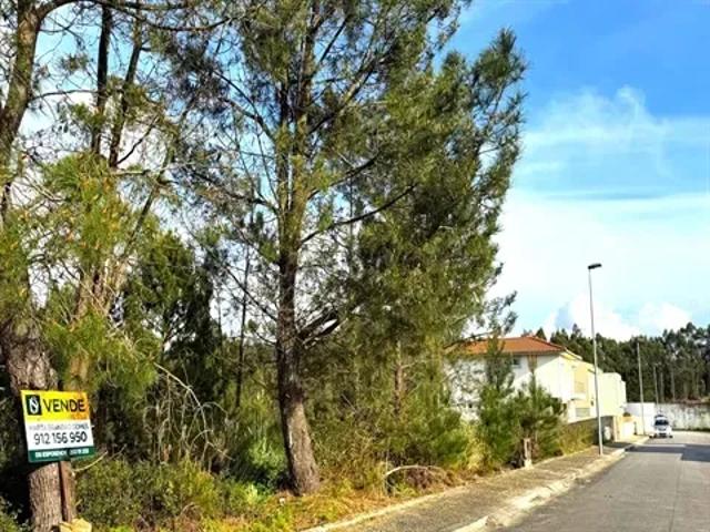 Porto Póvoa de Varzim 103540611