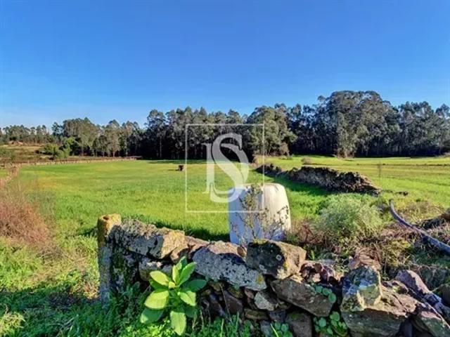 Porto Póvoa de Varzim 103541086