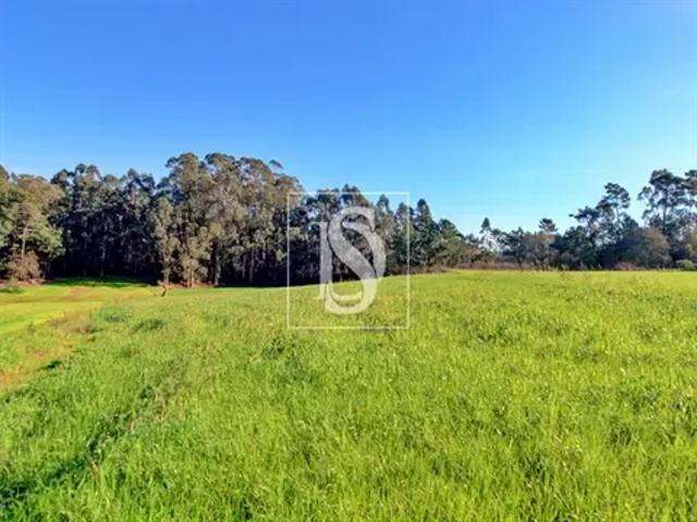 Porto Póvoa de Varzim 103541087