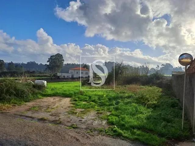 Porto Póvoa de Varzim 103554368