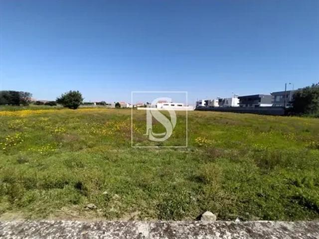 Porto Póvoa de Varzim 103557116