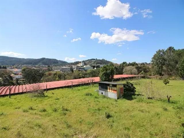 Porto Santo Tirso 103540549