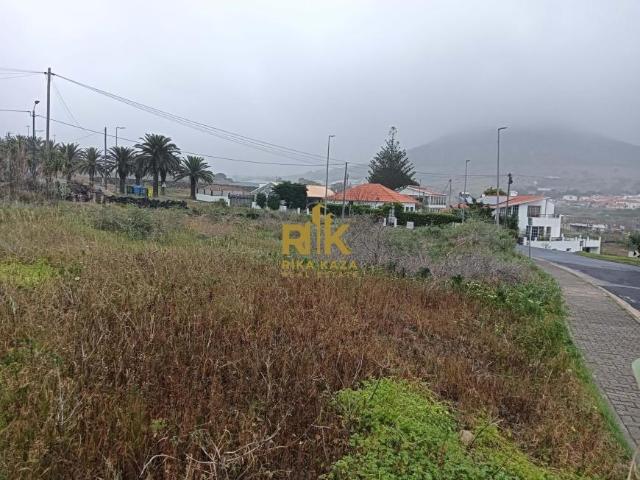 Porto Santo Ilha de Porto Santo 100214338
