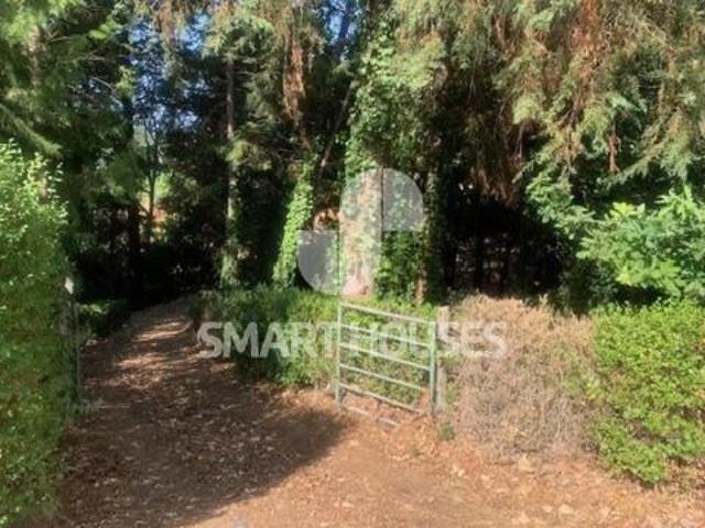 Portugal Portalegre LS98202941