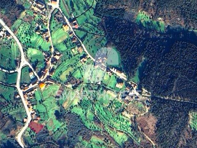 Portugal Portalegre LS98203979