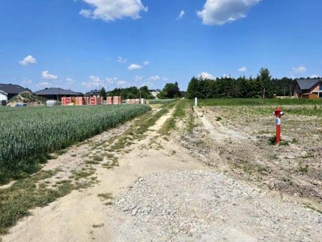 Porzeczkowa 1 018 m², Zaborówek