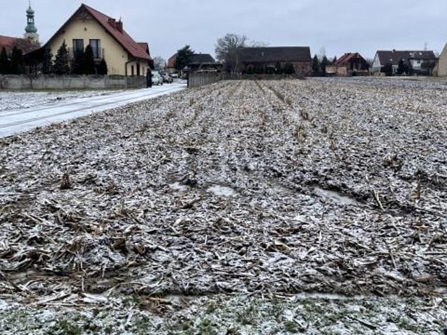 Porzeczkowa 1 122 m², Brzezia Łąka