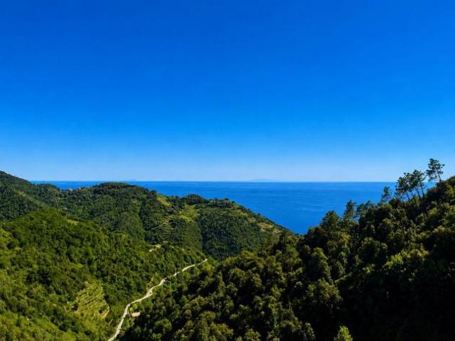 Porzione di casa in vendita a Drignana Vernazza 139 mq Rif: 1431984