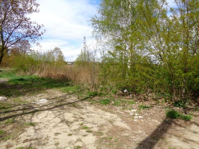 Poranna 997 m², Radzymin
