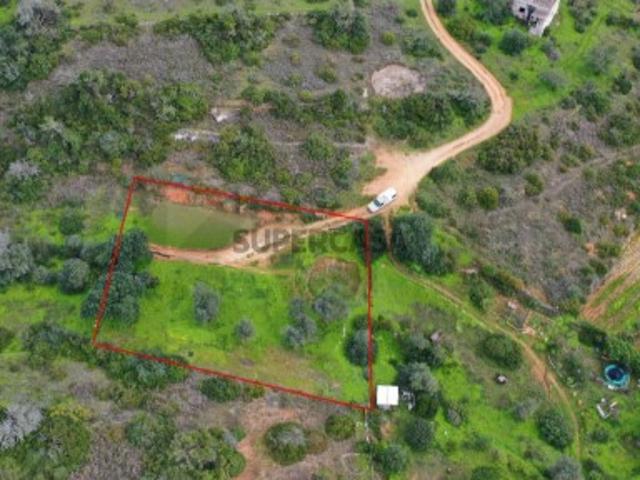 Porches, Algarve | Terreno Rústico Exclusivo com 1.250 m²