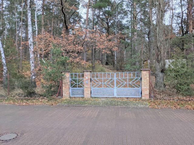 Wohnen im Wald: Idyllisches Baugrundstück nahe des Muldestausees