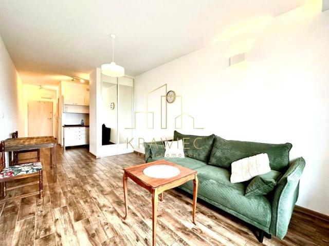 Potulicka 30,20 m², Szczecin