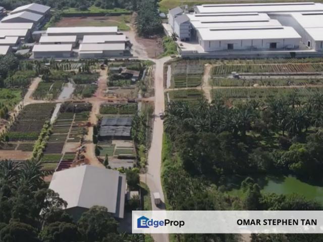 Potential Development Land for Industry @ Muar, Johor