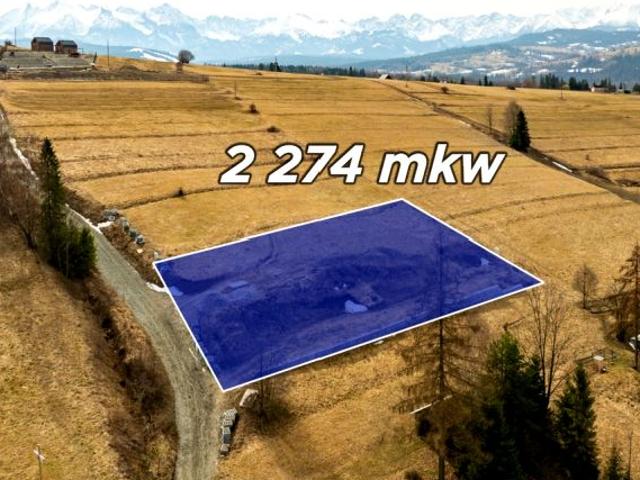 Potok Bryjów 2 274 m², Rzepiska