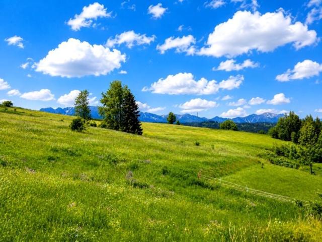 Potok Bryjów 2 274 m², Rzepiska