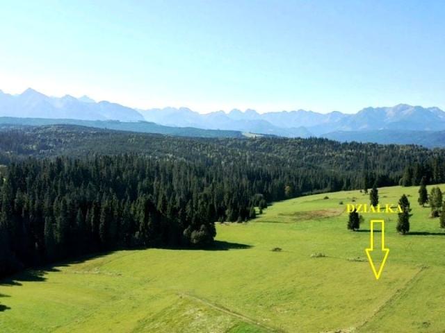 Potok Grocholów 1 484 m², Rzepiska