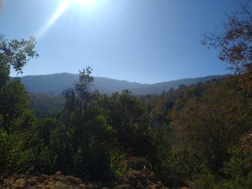 POTRERO GRANDE