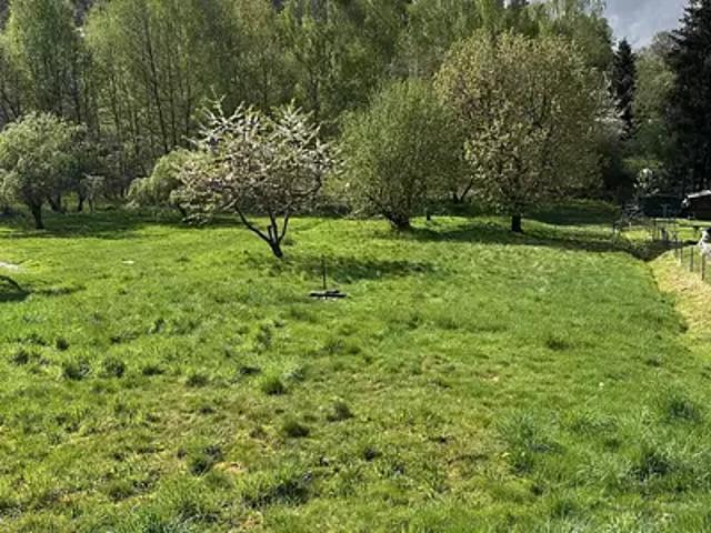 Pouxeux 88550 Achat / Vente terrain
