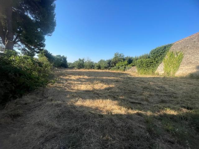 Pouzolles Vente Terrain 34