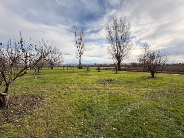 Poudis Vente Terrain 81