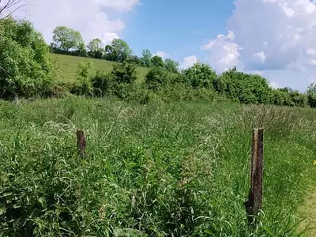 Pouilly en Auxois 21320 Achat / Vente terrain