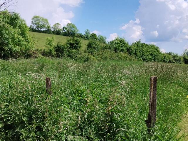 Pouilly en Auxois Vente Terrain 21