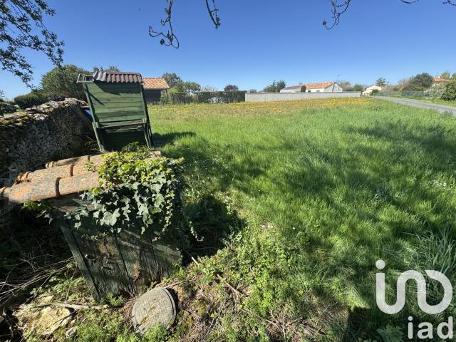 Pouillé Vente Terrain 85